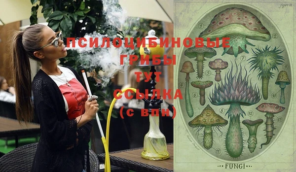 первитин Бородино